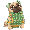 Money Money Puggy