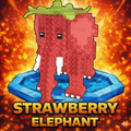 Admin Strawberry Elephant
